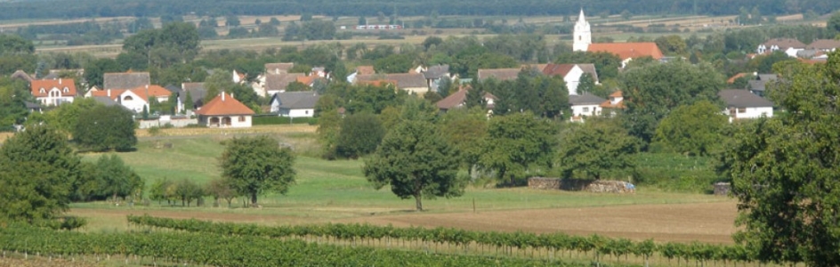 Read more about the article Ausflug der ÖVP Bergheim nach Burgenland